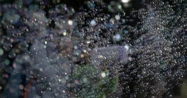 Игрушечный Гун Раздувает Море Мыльных Пузырей Медленном Движении — стоковое видео
