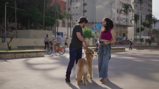 Casal Parque Com Seu Cão Amigável Curtindo Brisa Fim Semana — Vídeo de Stock