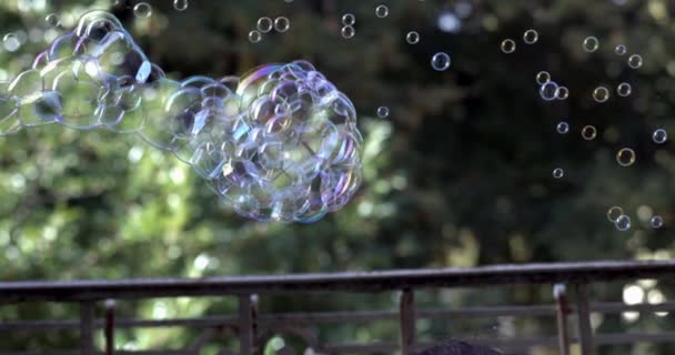 Oyuncak Silahın Yavaş Çekimi Büyük Sabun Baloncuğu Oluşturuyor — Stok video