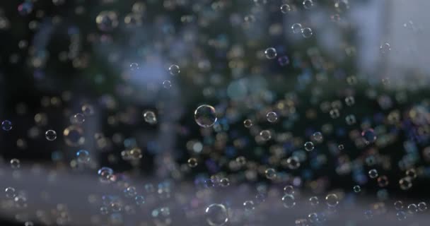 Тисячі Мильних Бульбашок Повітрі Захоплені Супер Повільний Рух Швидкістю 800 — стокове відео