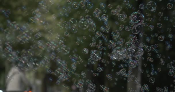 数以千计的肥皂泡漂浮在公园的空气中 无数的平行世界的概念 — 图库视频影像