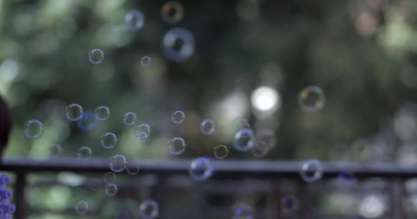 Many Soap Bubbles Glimmering Air Slow Motion — Stock Video