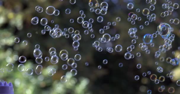 Блестящие Мыльные Пузыри Плавающие Воздухе Захваченные Замедленной Съемке Скоростью 800 — стоковое видео