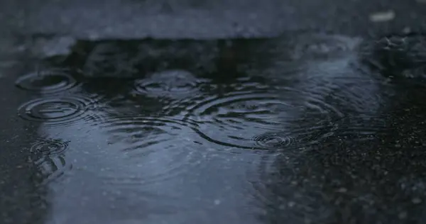 Dusk Liquid - Rain Kisses Street Surface, Weaving Spellbinding Ripples, Skillfully Captured in 800 fps Slow-Motion