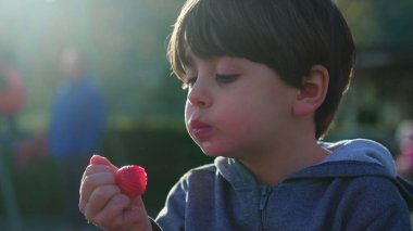 Çocuk parkta güneşin altında güneşlenirken çilekli atıştırmalık yiyor.