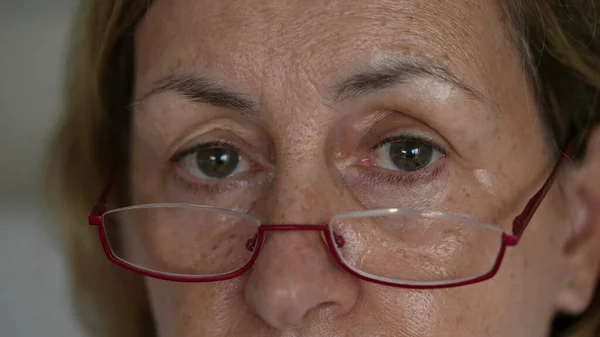 Senior lady close-up eyes and face looking at camera with reading glasses. Elderly caucasian person in 70s gazing in neutral expression