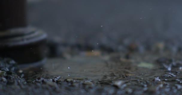 Gocce Che Cadono Super Slow Motion Durante Giornata Piovosa Strada — Video Stock