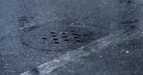 超慢速雨滴在街上的沥青 下水道盖 800 Fps捕获 — 图库视频影像