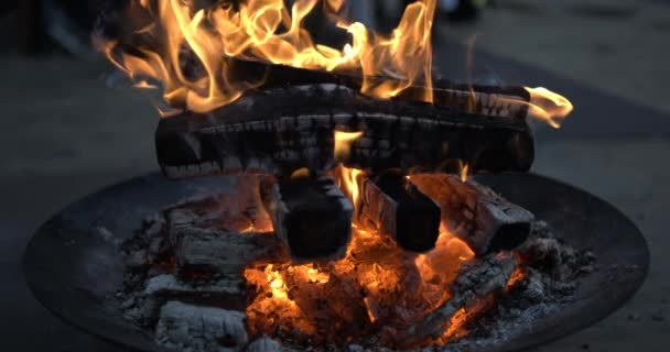 Close Fire Burning Slow Motion Wood Bonfire Glowing Ember — Stock Video