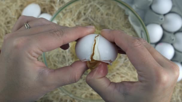 ボウルに卵を割るクローズアップハンド 800 Fpsの高速カメラでスーパースローモーションでキャプチャされた最初のステップオムレツの準備 — ストック動画