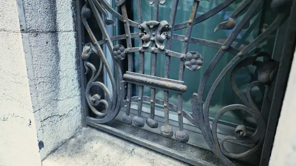 Elegant Shield - Antique Window Metal Grille with Adornments, elegant Deterrent for Entry