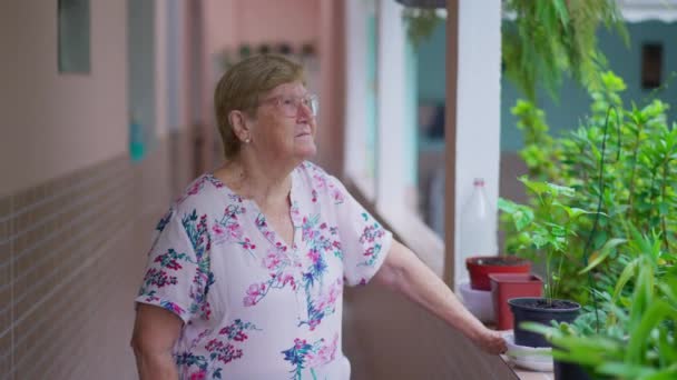 Aufgeregt Starrt Eine Ältere Frau Den Hinterhof Ihres Hauses Nachdenkliche — Stockvideo