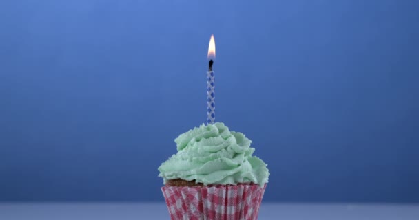Cupcake Com Uma Vela Aniversário — Vídeo de Stock
