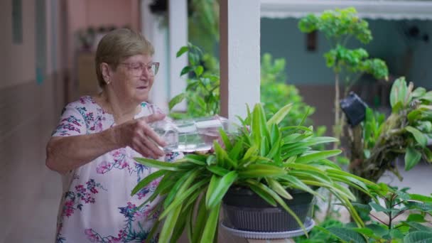 Пожилая Женщина Поливает Растение Бутылкой Воды Заднем Дворе Неподдельный Пожилой — стоковое видео
