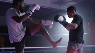 Dövüş sporcuları, dövüş sporları müsabakalarında boks ringinde tekmeler atıyorlar.