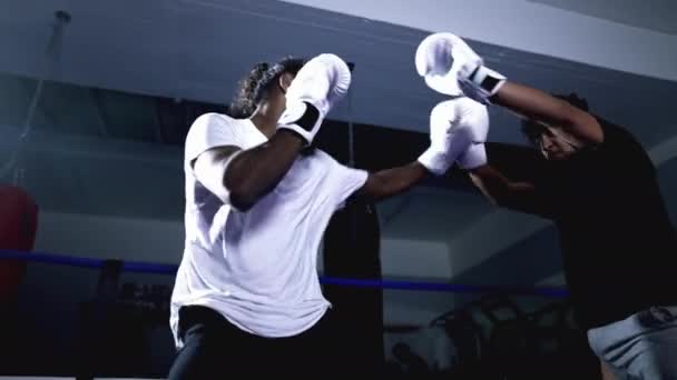 Muay Thai Fighters Heated Training Match Lanzamiento Patadas Golpes Anillo — Vídeos de Stock