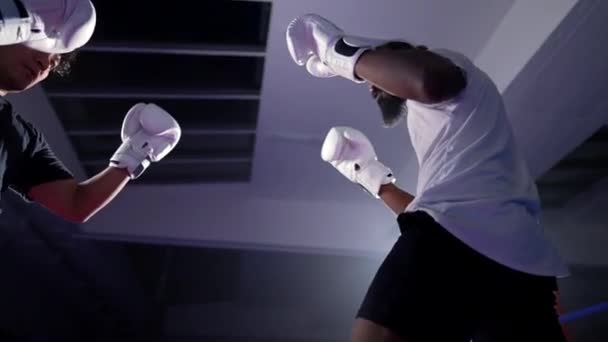 Два Бойца Противостоят Друг Другу Внутри Боксерского Ринга Обедая Ногами — стоковое видео