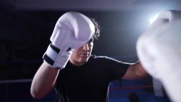 两名拳击手在战斗开始前打了一拳 拳击手与拳击台内的对手交手手套 — 图库视频影像