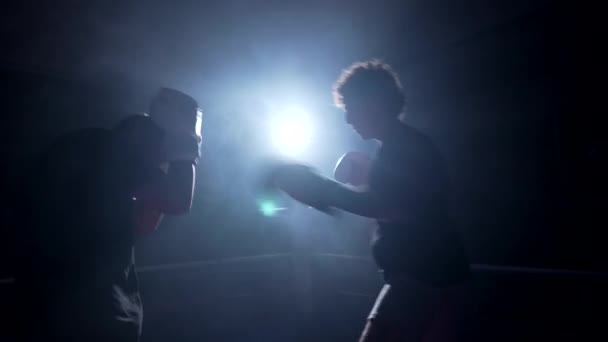 バックリットボクシングリングでキックとパンチで強烈なトレーニングファイト — ストック動画