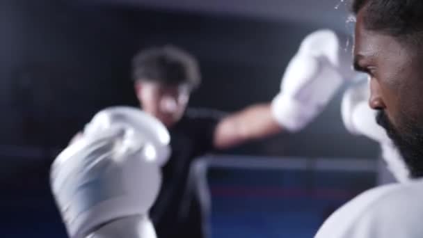ボクシングリングで戦うファイター トレーニングでキックとパンチを交換 リング内の劇的な戦い — ストック動画