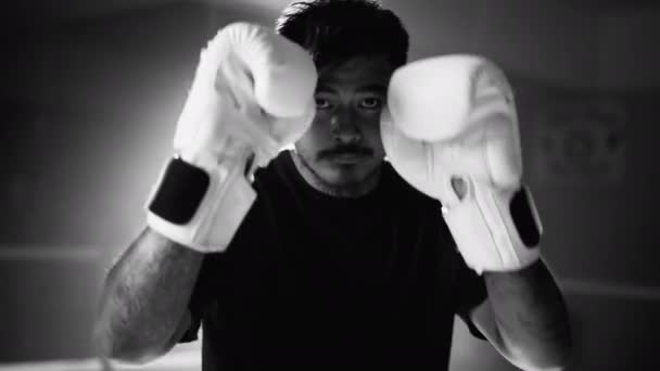 Boxer Drámai Standoff Pose Facing Rival Boxing Ring Monokróm Fekete — Stock videók