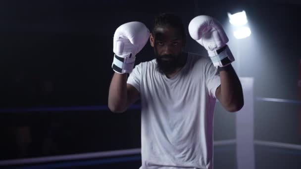 Joven Luchador Negro Mirando Cámara Dentro Anillo Boxeo Dramáticamente Iluminado — Vídeo de stock