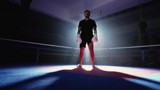 Fiatal Harcos Áll Ringben Kesztyűben Drámai Háttérvilágítással Bámulja Kamerát Boxer — Stock videók