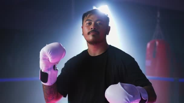 Regard Intense Boxer Dramatique Anneau Lumineux Face Caméra — Video
