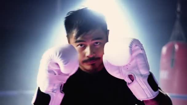 Boxeador Standoff Pose Anillo Interior Bajo Iluminación Dramática Rival Pov — Vídeo de stock