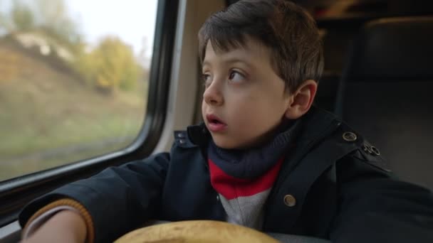 冬のシーズンにジャケットとスカーフを着て 高速輸送で旅行する 風景パスを眺めながら窓から座っている思慮深い子供の乗馬列車 — ストック動画