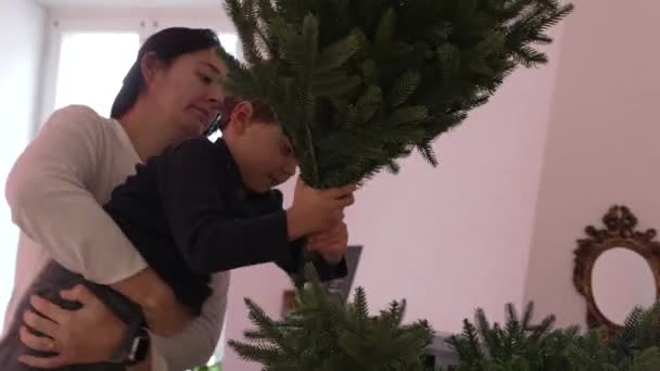 Mother Child Setting Christmas Tree Holiday Season Mom Picks Young — Stock Video