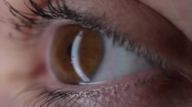 Makro yakın çekim göz küresi geniş açık, sıkı detay veya iris retina, sürpriz reaksiyon