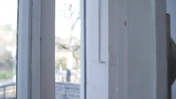 Вікно Закриття Руки Макро Крупним Планом Ручки — стокове відео