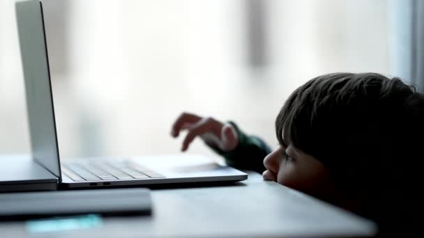 Ehrliches Kind Mit Laptop Kleiner Junge Versucht Mit Dem Finger — Stockvideo