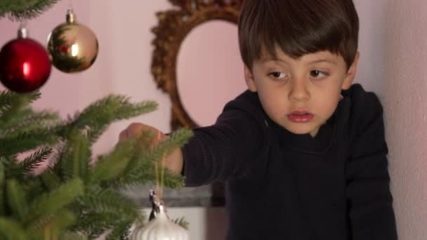Молодий Хлопчик Розміщує Різдвяні Прикраси Дереві Під Час Святкових Заходів — стокове відео