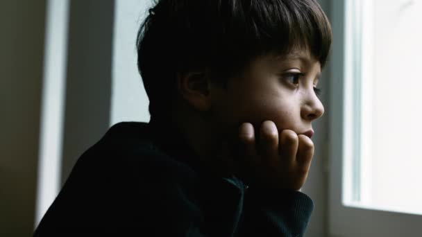 Yalnız Çocuk Pencerede Durup Pençe Divan Bakar Düşünceli Düşünceli Düşünceli — Stok video