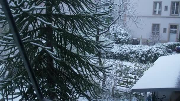 Vista Janela Apartamento Durante Temporada Inverno Queda Neve — Vídeo de Stock