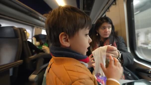 お母さんと電車で旅する小さな男の子 高速輸送で風景パスを眺めるスカーフとジャケットを着用する子供 — ストック動画