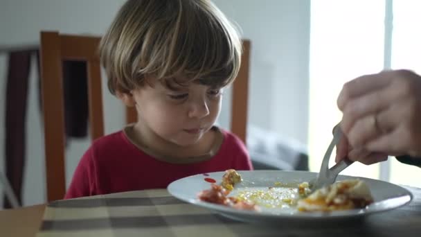 昼食のテーブルで 親から食べ物を与えられ 朝食の間にスクランブルエッグを食べる子供のクローズアップ — ストック動画