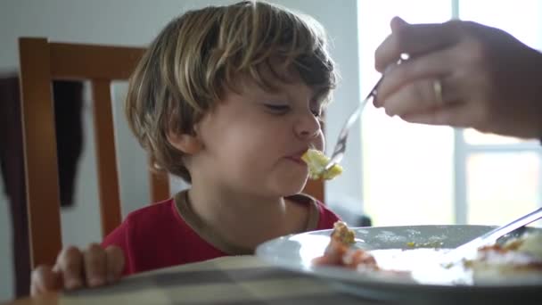 午餐或早餐时给小男孩喂食炒鸡蛋 在家庭生活场景中父母喂孩子吃饭的特写镜头 — 图库视频影像