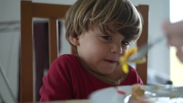 早餐时喂杂乱的孩子吃炒鸡蛋 特写小男孩面临着从口中掉下食物的事故 — 图库视频影像