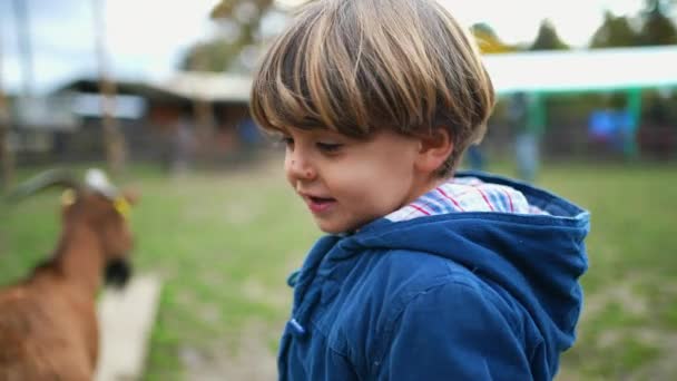Jeden Malý Chlapec Procházející Zemědělské Půdě Pozorující Venkovské Prostředí Učení — Stock video