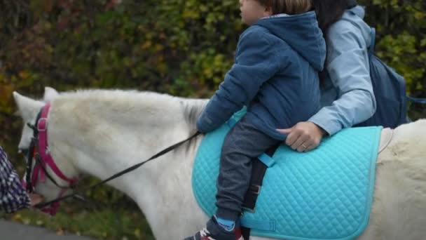 4岁骑小马的男孩 由母亲抚养 — 图库视频影像