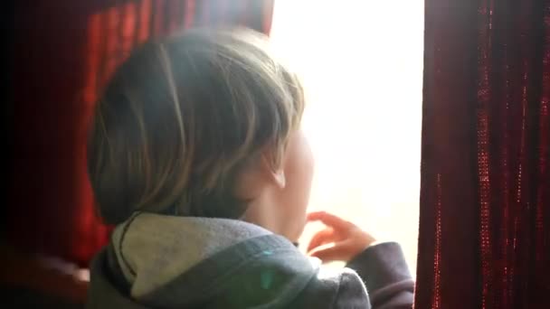 Dziecko Pochylające Się Oknie Pociągu Gapiące Się Przejeżdżający Widok Podczas — Wideo stockowe