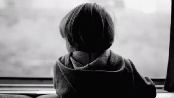 Маленький Мальчик Глубокой Мысли Поезде Глядя Пейзаж Движении Захвачены Художественной — стоковое видео