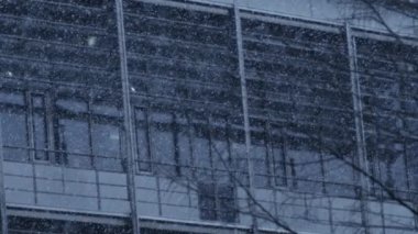 Bare Branches and Falling Snow in Winter Scene Captured at 1000 fps in Super Slow Motion