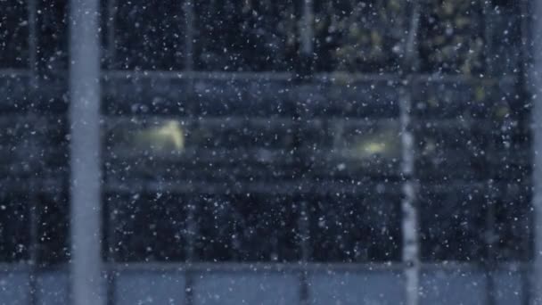 Snowfall Winter Captured Super Slow Motion 1000 Fps — ストック動画