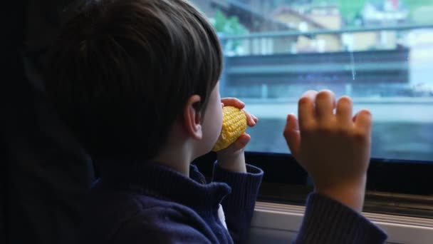 One Small Boy Traveling Train Looking Scenery Pass While Eating — Stock Video