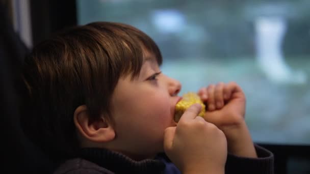 Little Boy Enjoying Corn Snack While Traveling Train Passenger Child — 图库视频影像