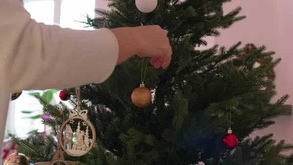 Person decorating Christmas tree during winter holiday season. Woman adding ball ornament into tree